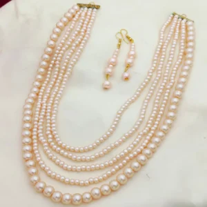 মাল্টি লেয়ার ফক্স লং