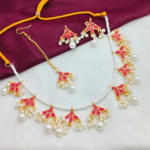 পিঙ্ক  ট্র্যাডিশনাল সেট